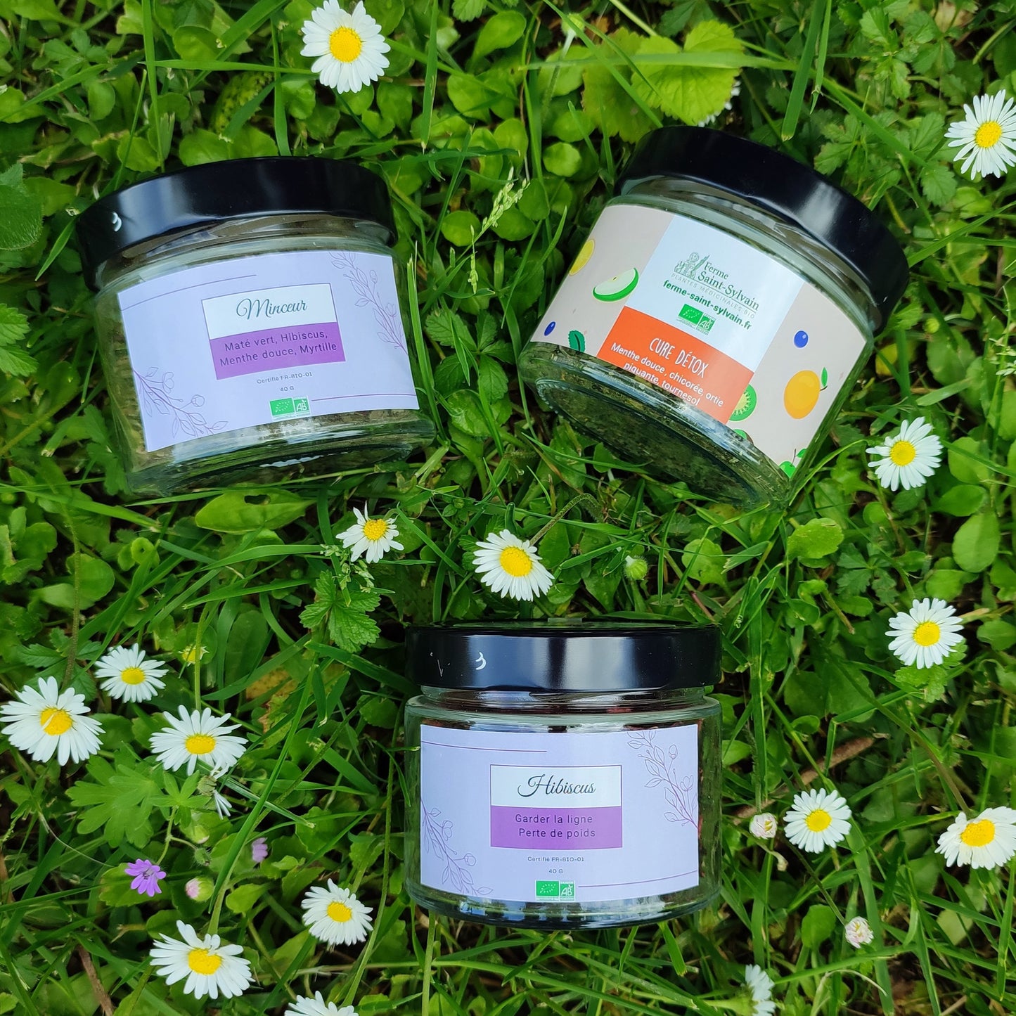 Coffret Infusions Minceur bio