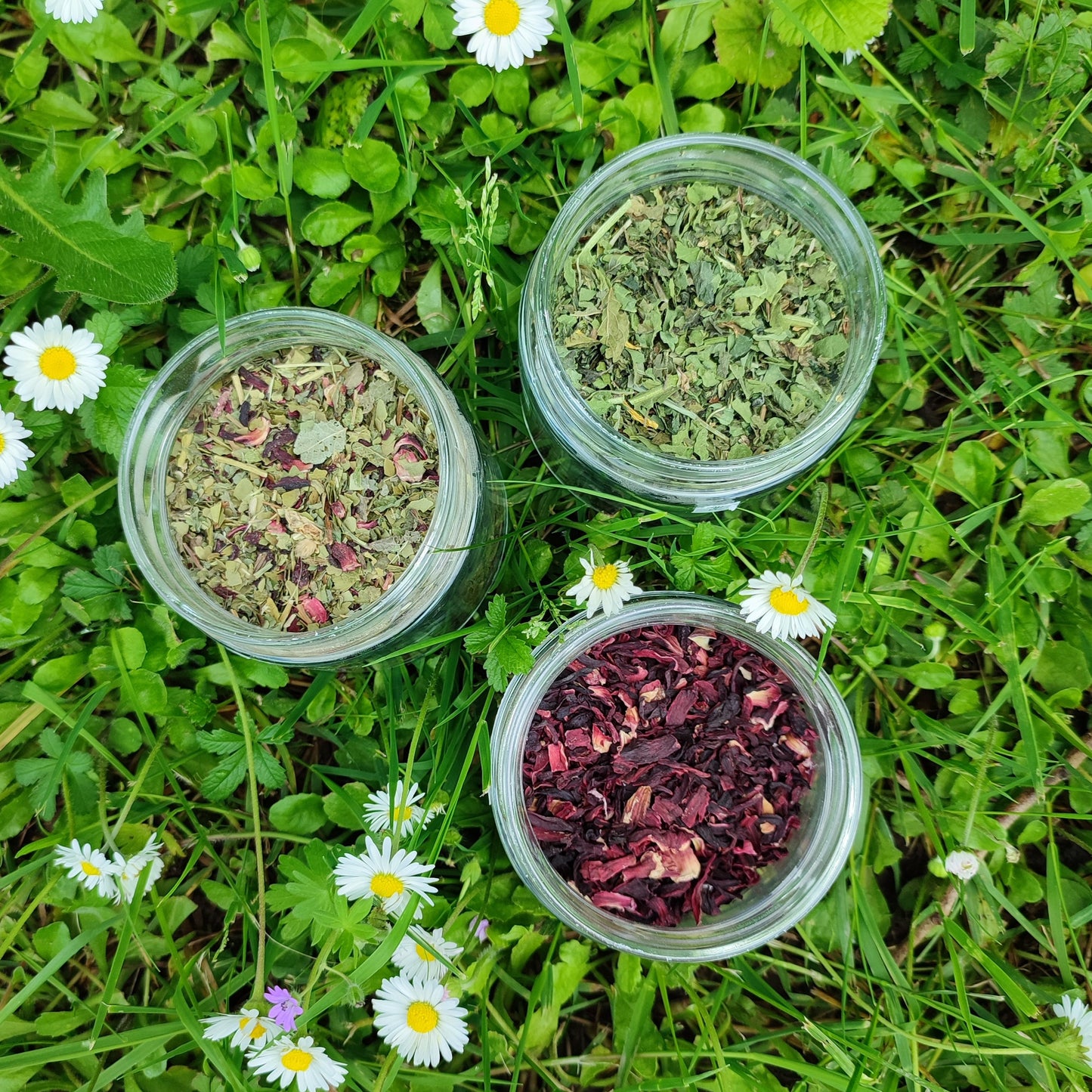 Coffret Infusions Minceur bio