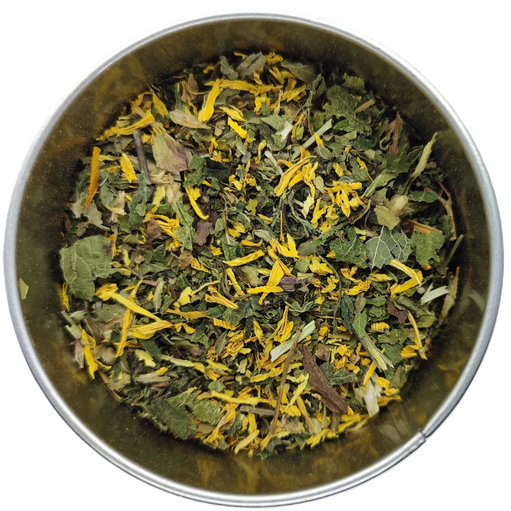 Tisane Cure détox Bio : menthe douce, chicorée, ortie piquante