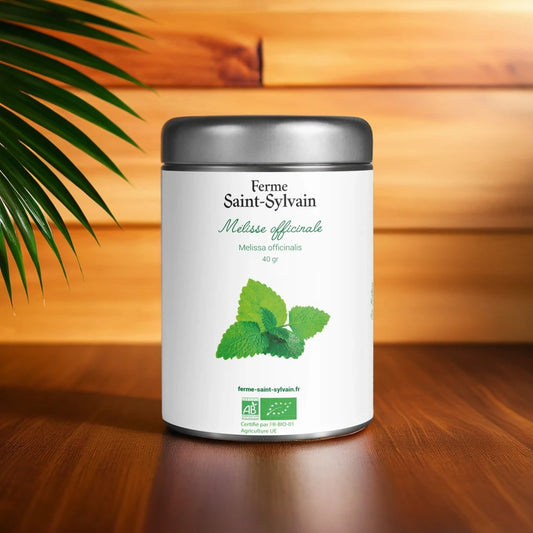 Tisane de Mélisse bio