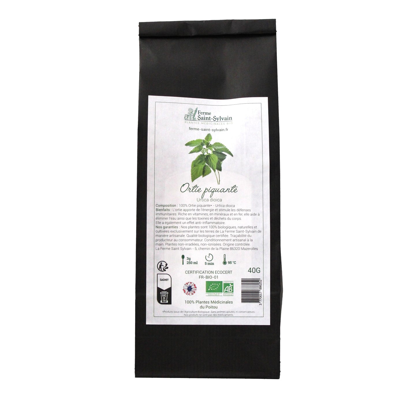 infusion ortie piquante pour vitalité