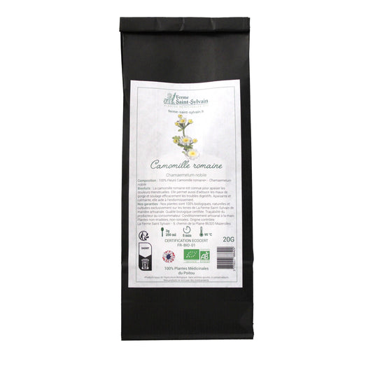 Infusion chaude de camomille romaine bio