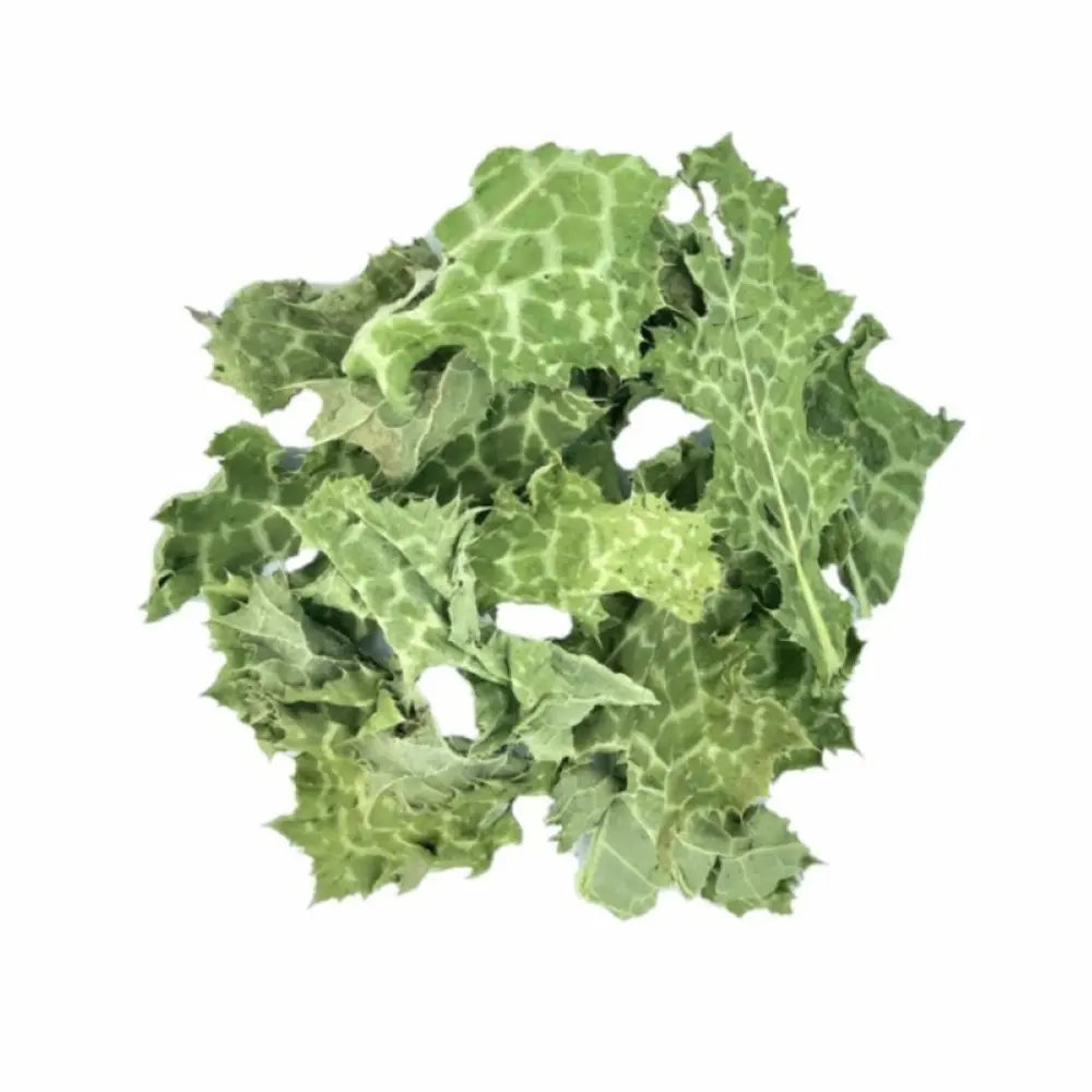 tisane chardon marie bio en vrac