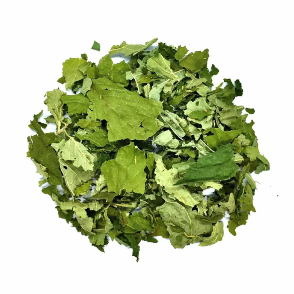 Tisane de Noisetier Bio