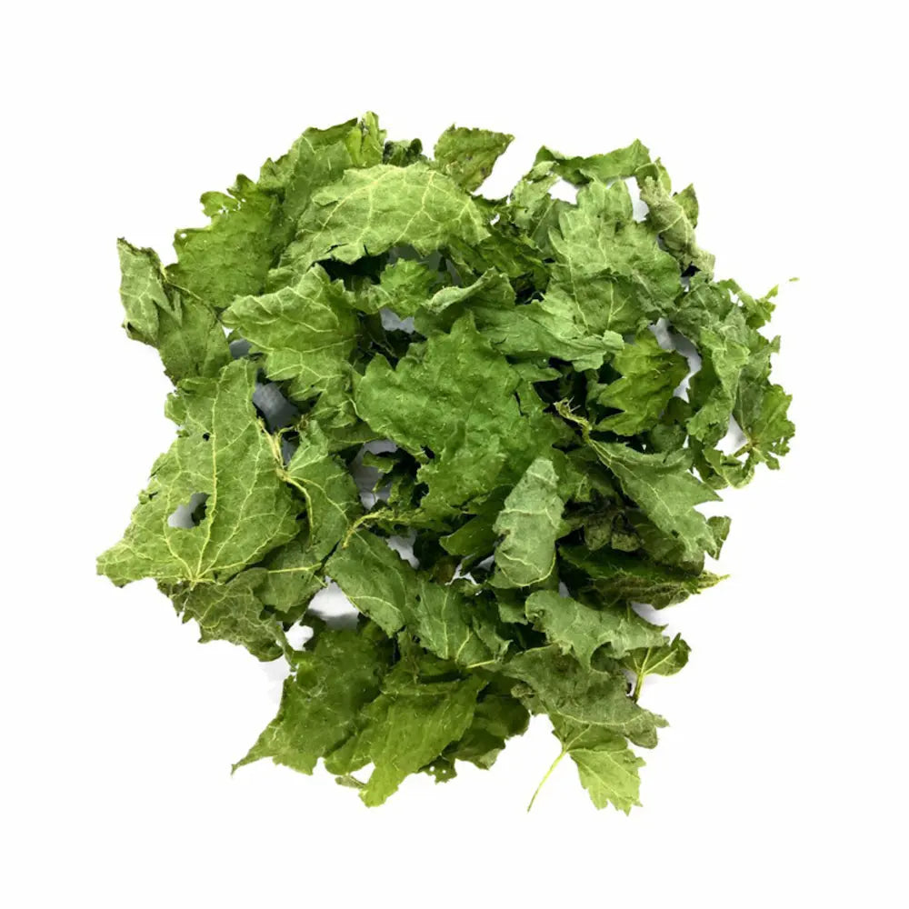 Tisane Ortie piquante Bio, infusion ortie piquante