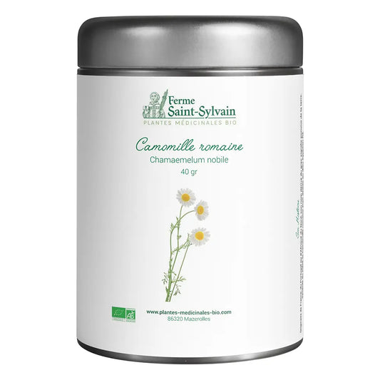 tisane Camomille romaine Bio