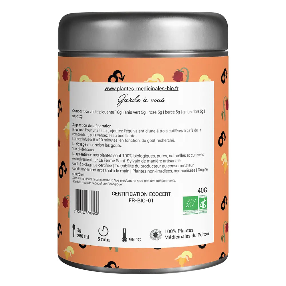 Tisane Garde à vous Bio