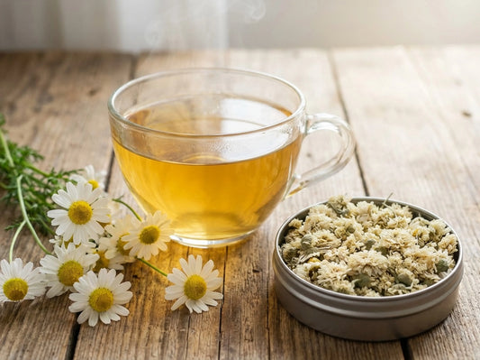 Guide complet de la camomille romaine en infusion