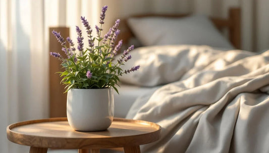 Plantes pour aider à trouver le sommeil : bienfaits naturels pour favoriser des nuits paisibles