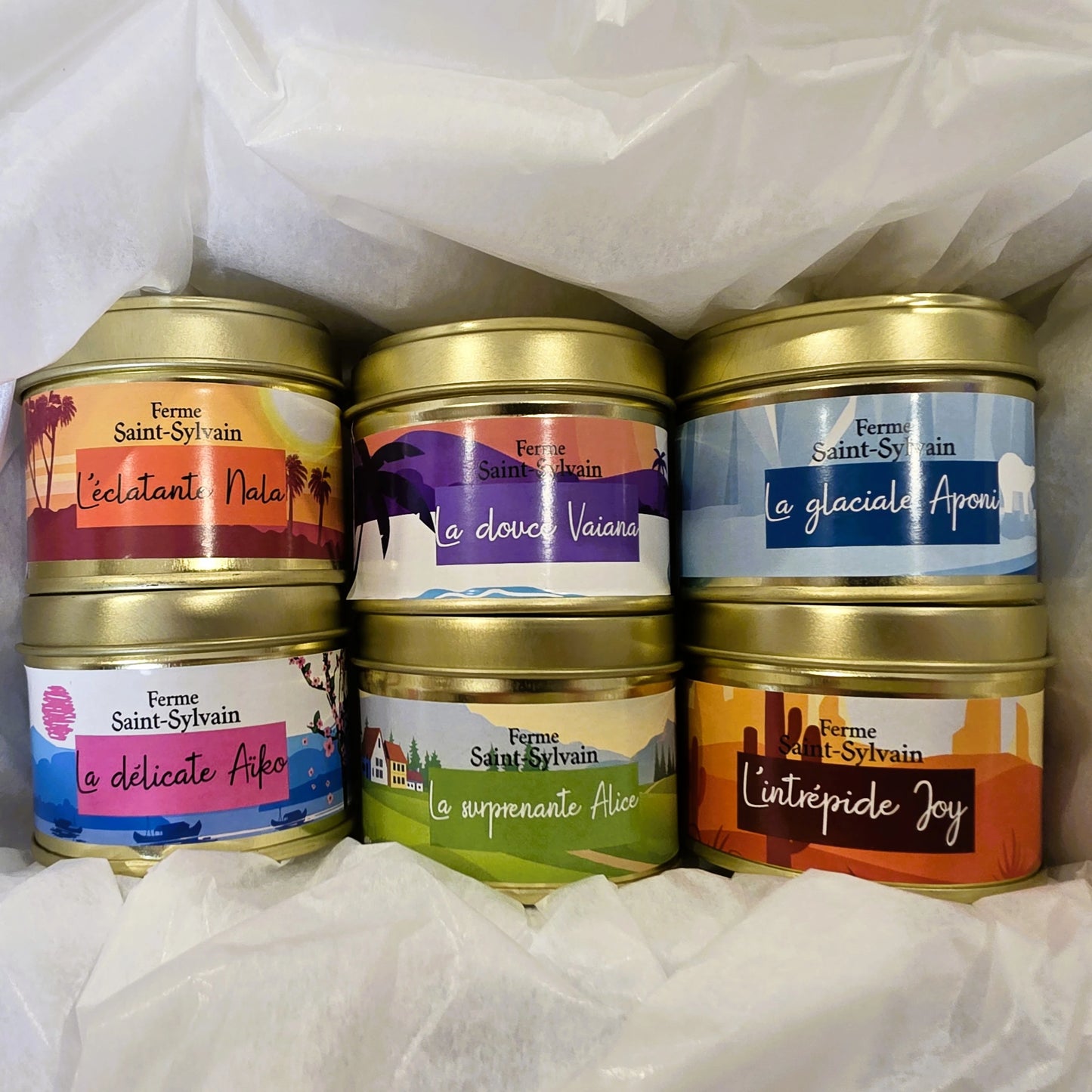 Coffret découverte Tisanes du Monde Bio