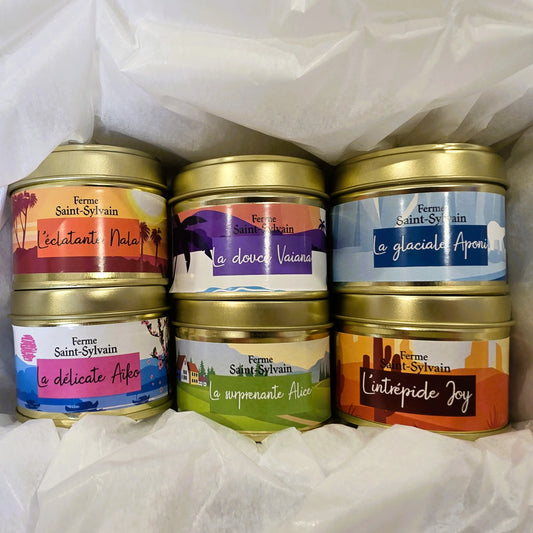 Coffret découverte Tisanes du Monde Bio