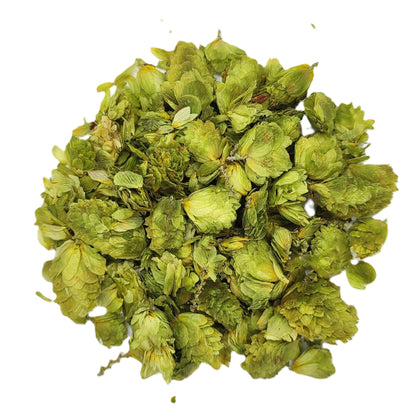 Tisane de Houblon Bio