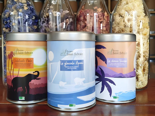 Coffret "Voyage des Sens"
