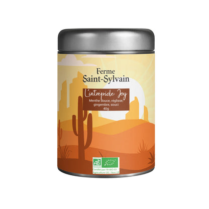 Tisane L’Intrépide Joy Bio – Infusion aux arômes frais et épicés
