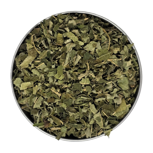 Tisane de Noisetier Bio
