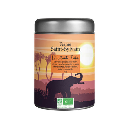 Tisane L'éclatante Nala Bio : Infusion aux saveurs vives et aromatiques