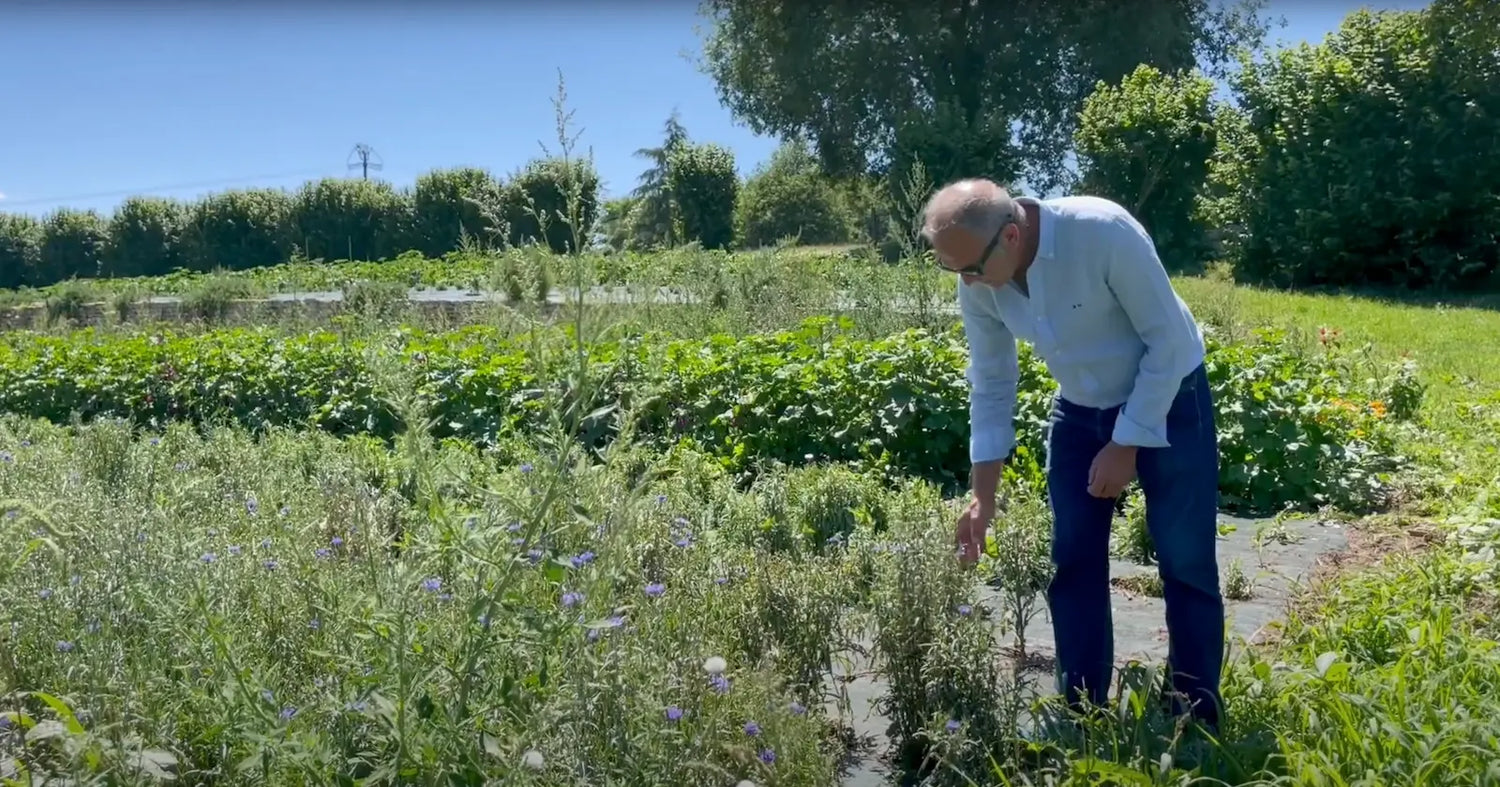 Présentation de la Ferme Saint-Sylvain