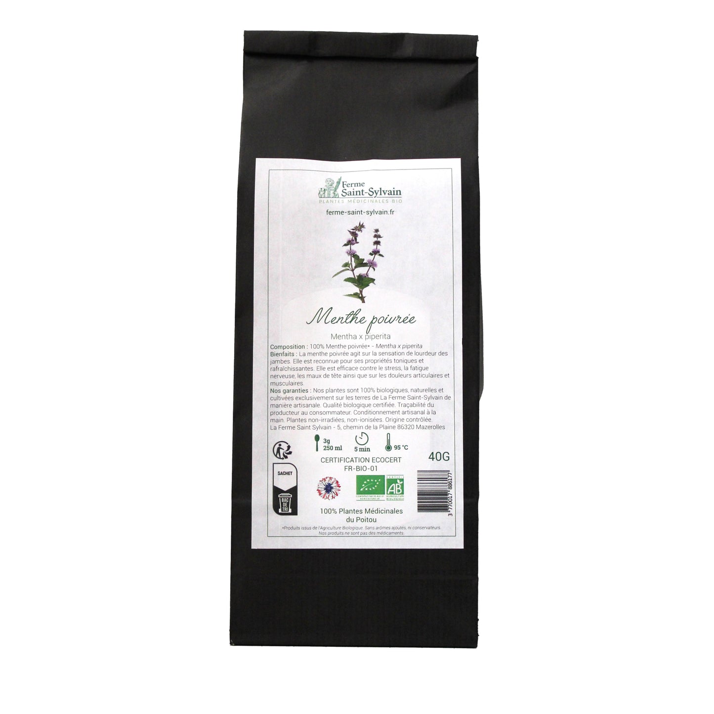 Feuilles séchées de menthe poivrée bio prêtes à infuser