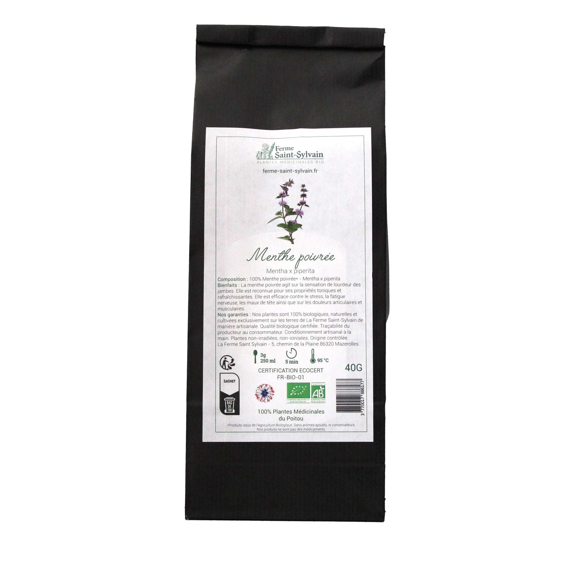 Feuilles séchées de menthe poivrée bio prêtes à infuser
