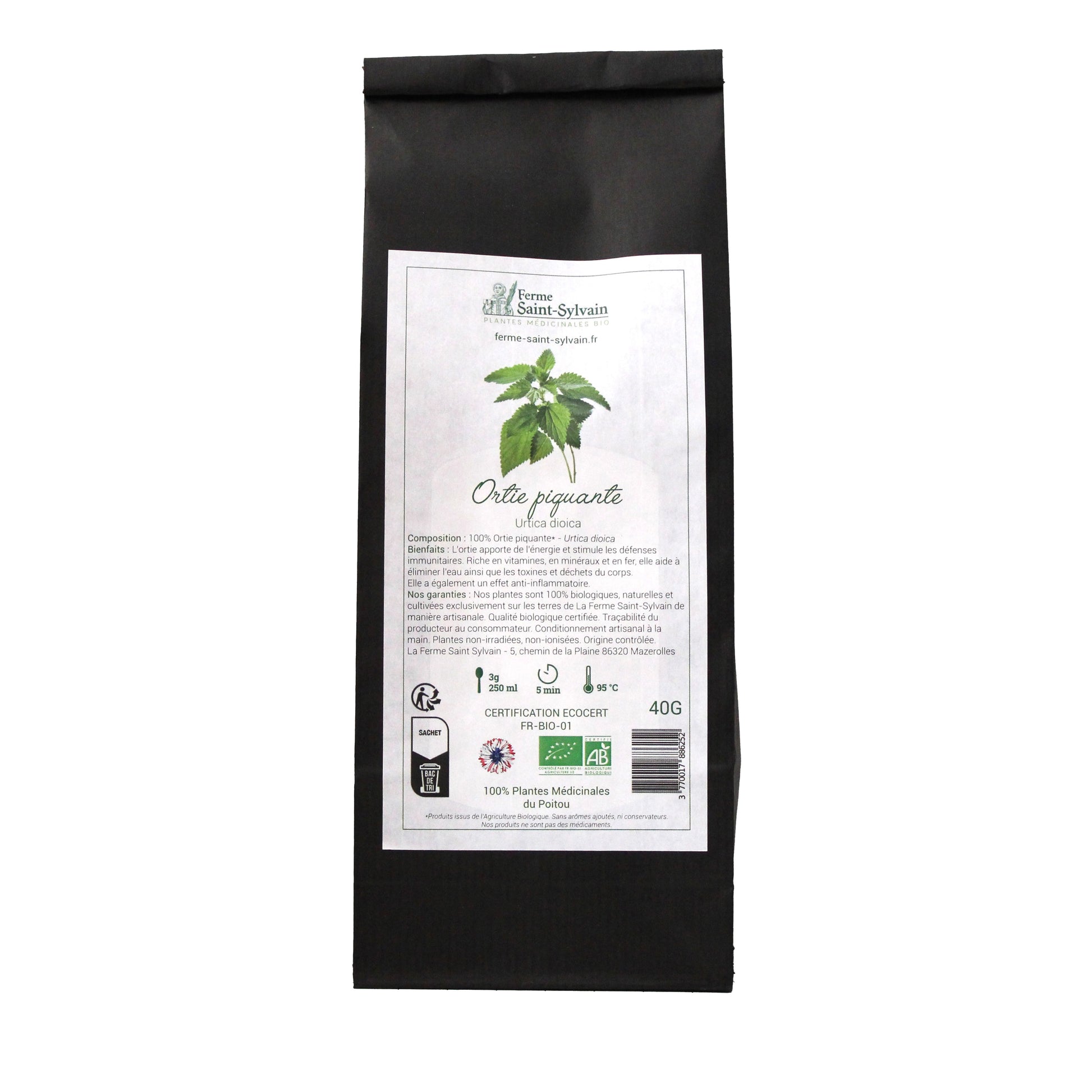 infusion ortie piquante pour vitalité