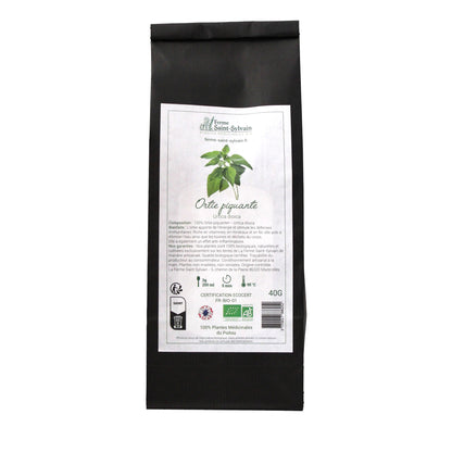 infusion ortie piquante pour vitalité