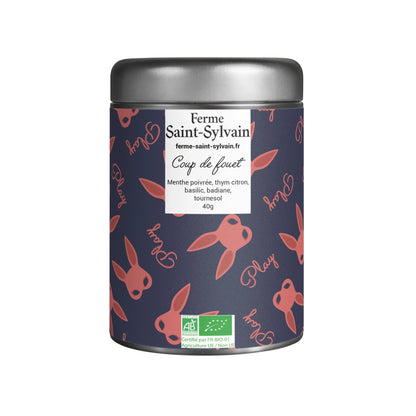 Tisane Coup de Fouet – Infusion bio énergisante aux plantes