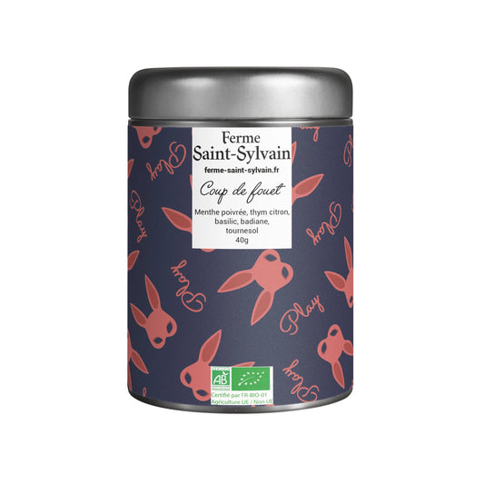 Tisane Coup de Fouet – Infusion bio énergisante aux plantes
