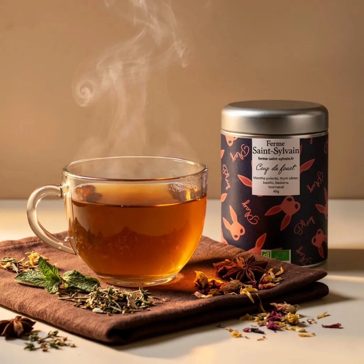 Tisane Coup de Fouet – Infusion bio énergisante aux plantes