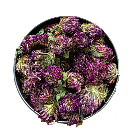 Tisane Trèfle rouge Bio - Fleurs en vrac - Sachet 20g