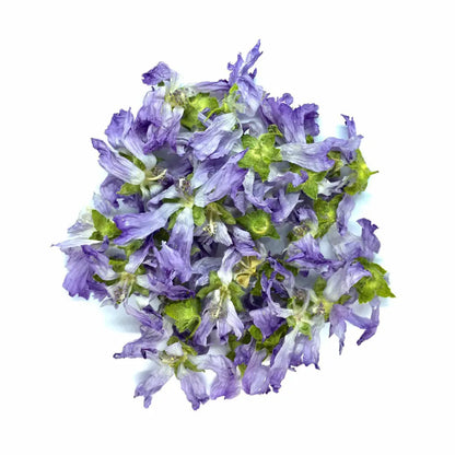 fleur de mauve en infusion