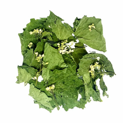 Tisane Alliaire Bio