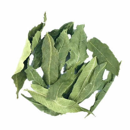 infusion de Frêne Bio